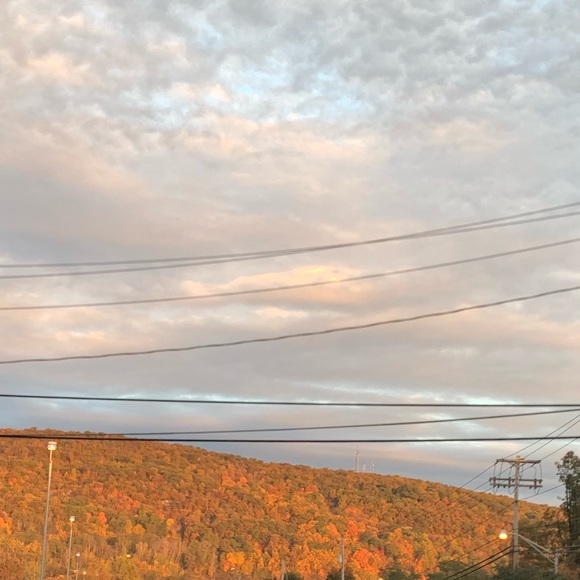 vinnycam255